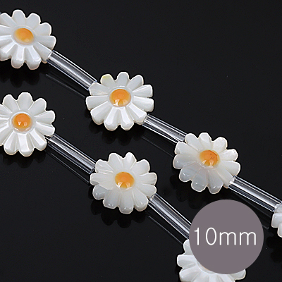 [4-311-3] ڰ(//) 10mm ȭƮ (H)  [1,1(15)]